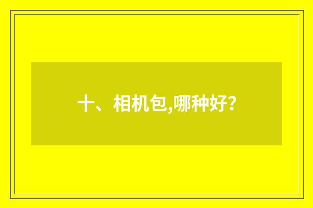 十、相机包,哪种好？