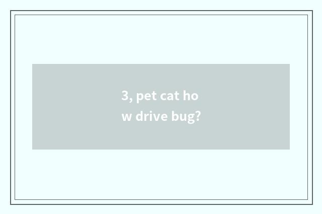 3, pet cat how drive bug?