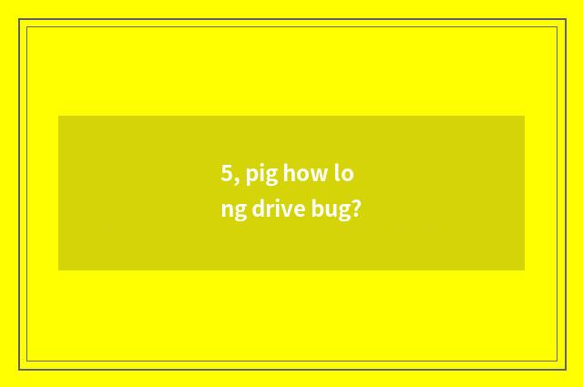5, pig how long drive bug?
