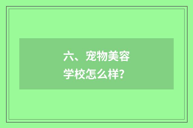 六、宠物美容学校怎么样？