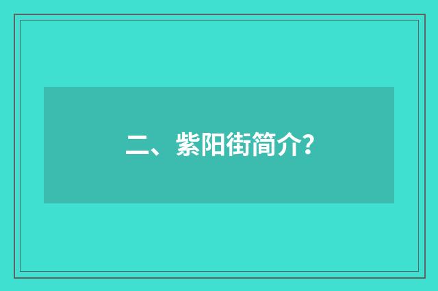 二、紫阳街简介？