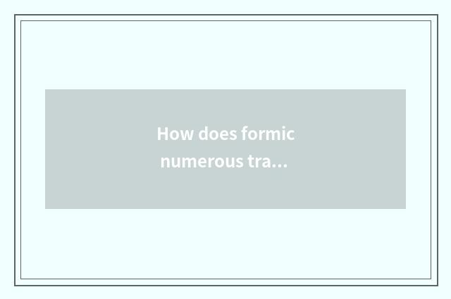 How does formic numerous travel play?