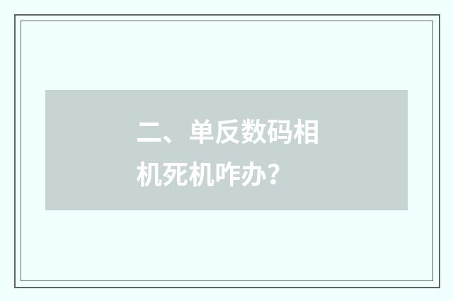 二、单反数码相机死机咋办？
