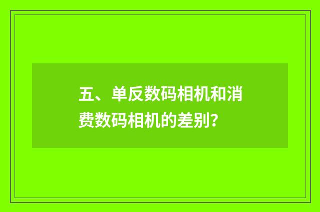 五、单反数码相机和消费数码相机的差别？