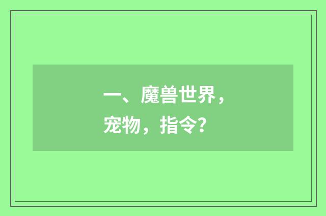 一、魔兽世界，宠物，指令？
