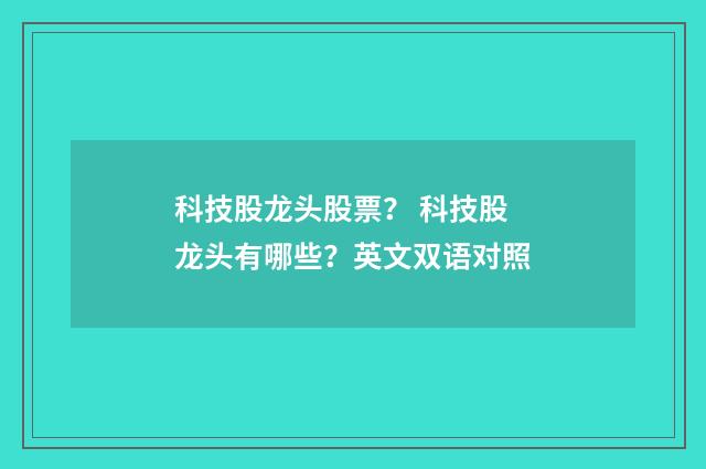 科技股龙头股票？ 科技股龙头有哪些？英文双语对照