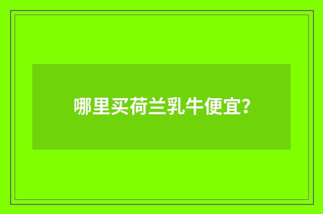 哪里买荷兰乳牛便宜？