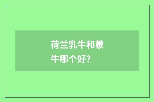 荷兰乳牛和蒙牛哪个好？