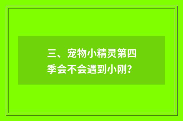三、宠物小精灵第四季会不会遇到小刚？