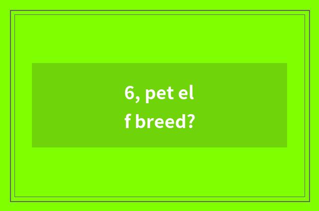 6, pet elf breed?