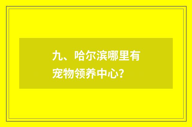 九、哈尔滨哪里有宠物领养中心？
