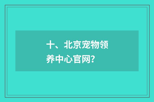 十、北京宠物领养中心官网？