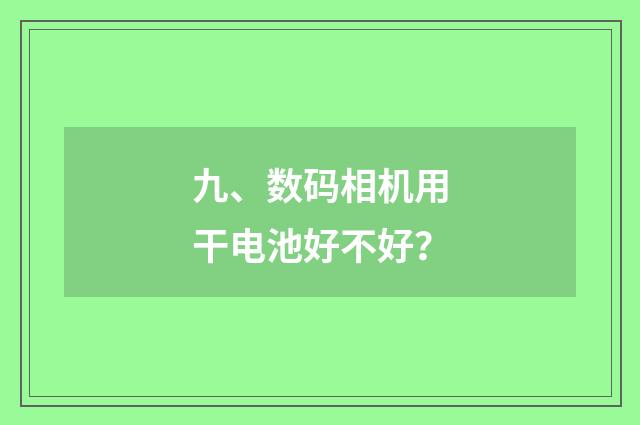 九、数码相机用干电池好不好?