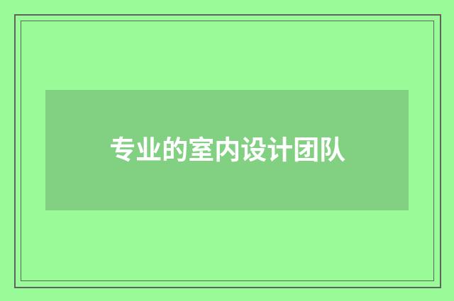 专业的室内设计团队