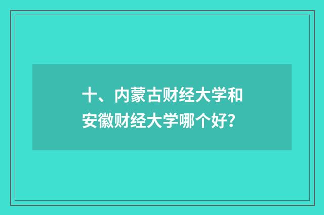 十、内蒙古财经大学和安徽财经大学哪个好？