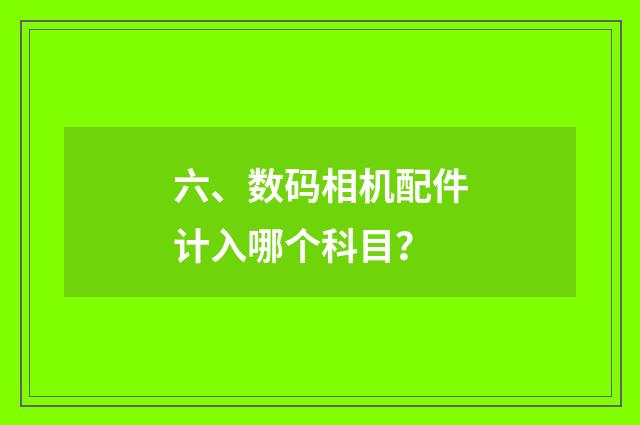 六、数码相机配件计入哪个科目？