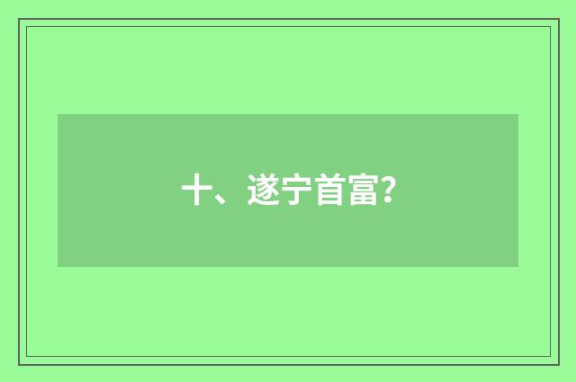 十、遂宁首富？
