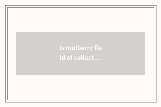 Is mulberry field of collect hill north belonged to which street?