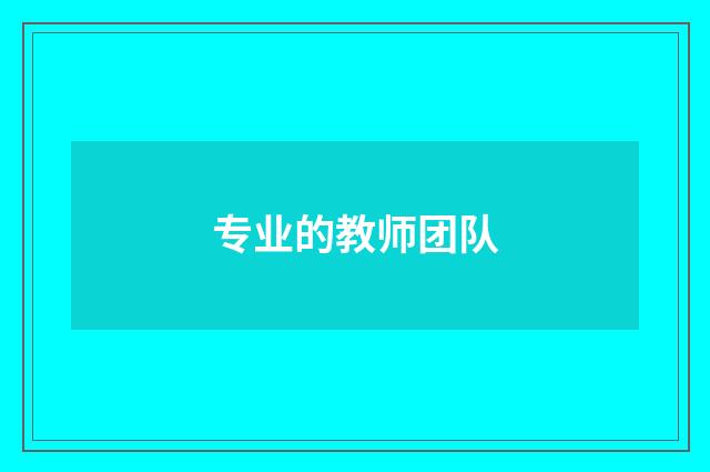 专业的教师团队