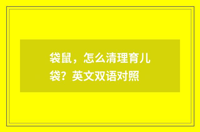 袋鼠，怎么清理育儿袋？英文双语对照