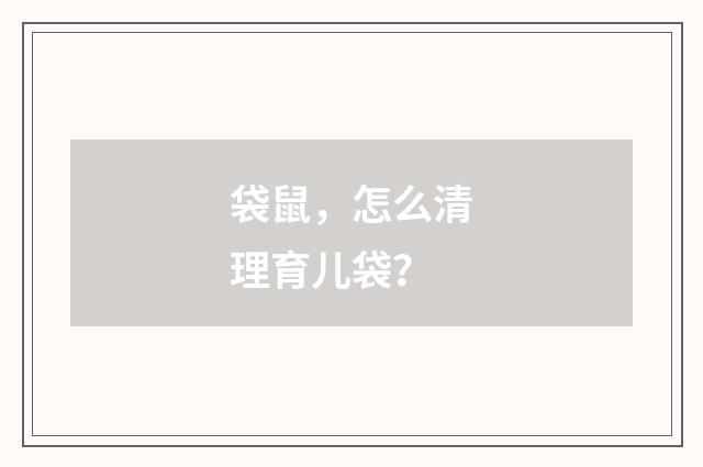 袋鼠，怎么清理育儿袋？