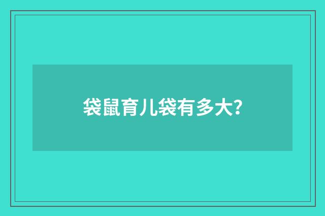 袋鼠育儿袋有多大？