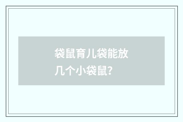 袋鼠育儿袋能放几个小袋鼠？