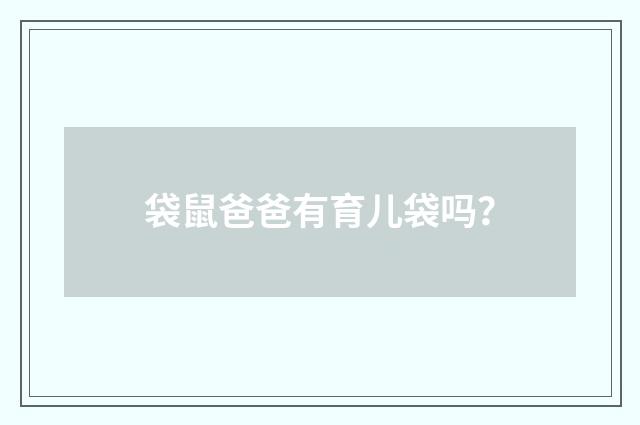 袋鼠爸爸有育儿袋吗？