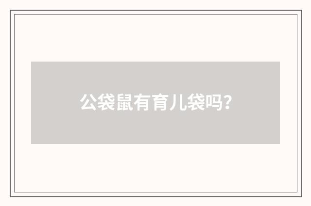 公袋鼠有育儿袋吗？