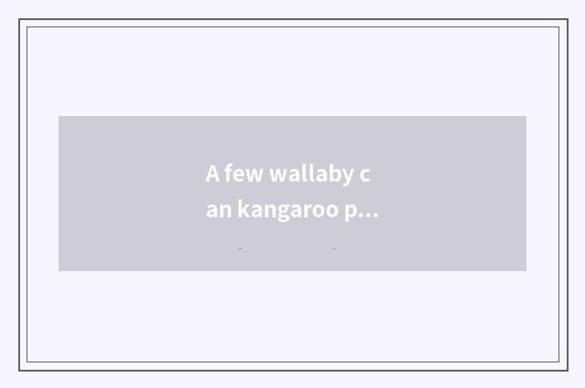 A few wallaby can kangaroo pouch put?