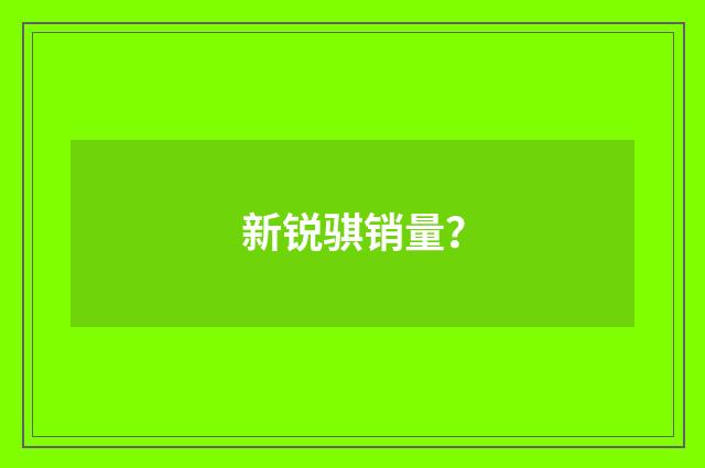 新锐骐销量？