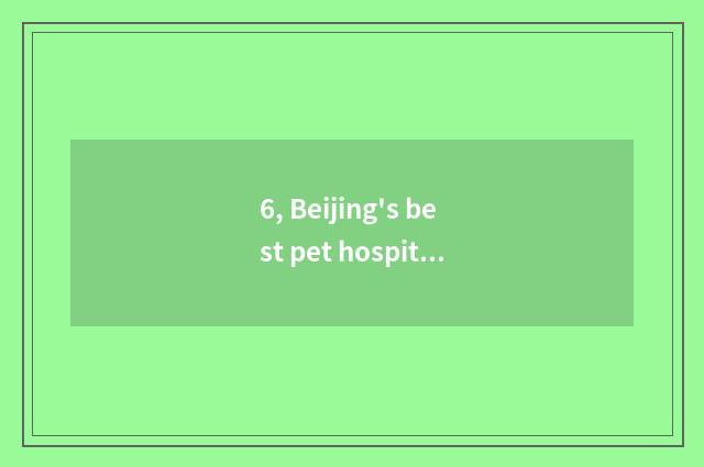 6, Beijing's best pet hospital?