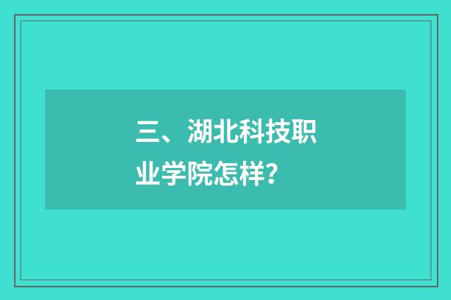 三、湖北科技职业学院怎样？