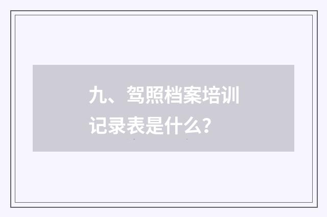 九、驾照档案培训记录表是什么？