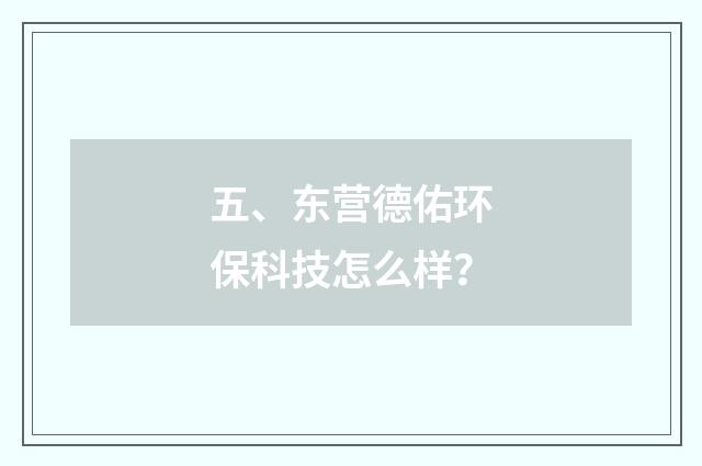 五、东营德佑环保科技怎么样？