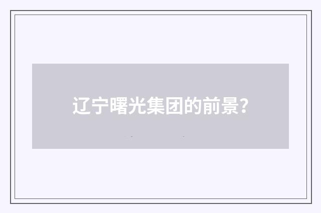 辽宁曙光集团的前景？
