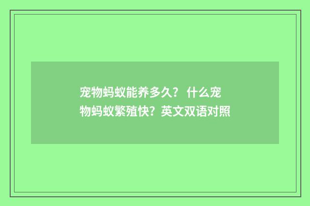 宠物蚂蚁能养多久？ 什么宠物蚂蚁繁殖快？英文双语对照