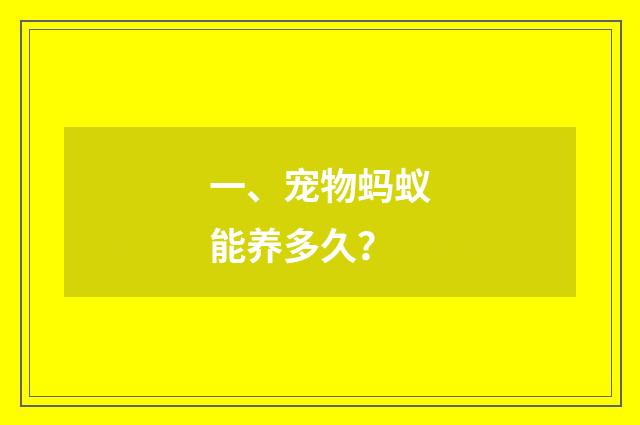 一、宠物蚂蚁能养多久？