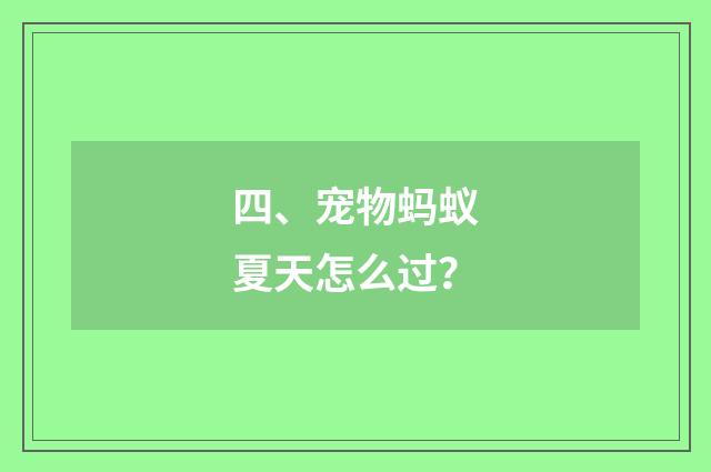 四、宠物蚂蚁夏天怎么过？