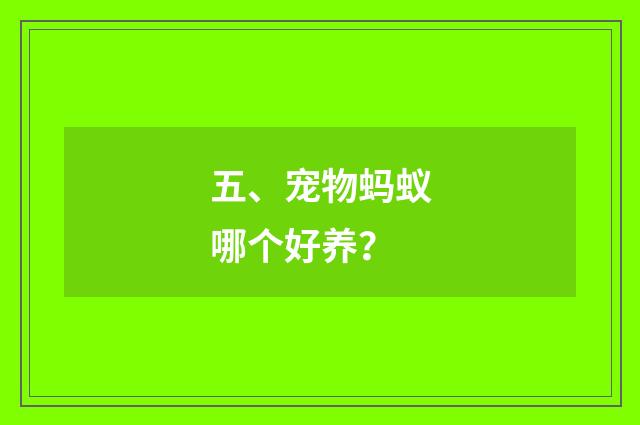 五、宠物蚂蚁哪个好养？