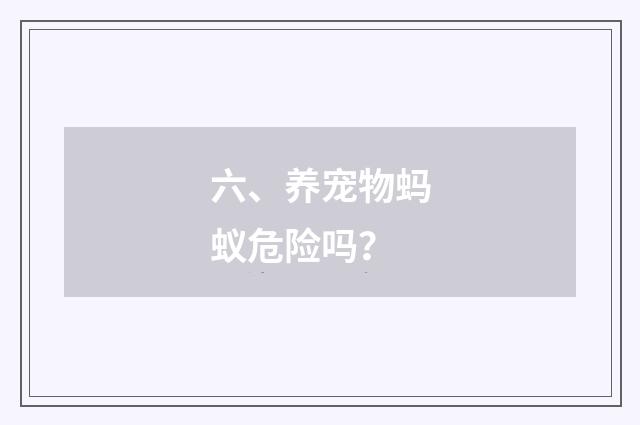 六、养宠物蚂蚁危险吗?