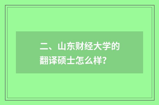 二、山东财经大学的翻译硕士怎么样？