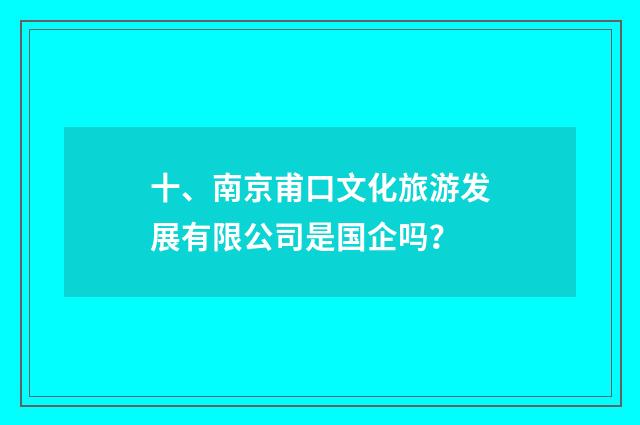 十、南京甫口文化旅游发展有限公司是国企吗？
