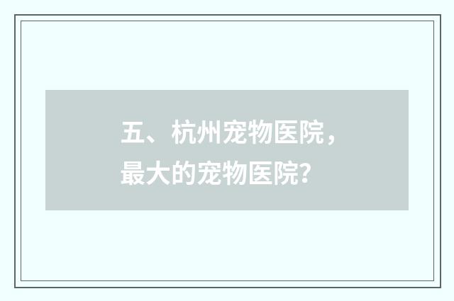 五、杭州宠物医院，最大的宠物医院？