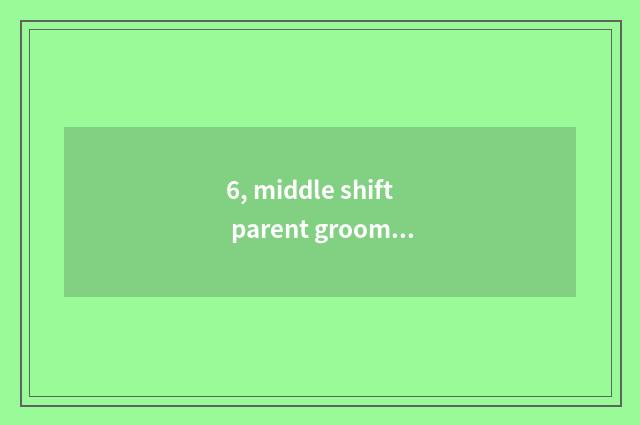 6, middle shift parent grooms record sheet, groom how is content filled?