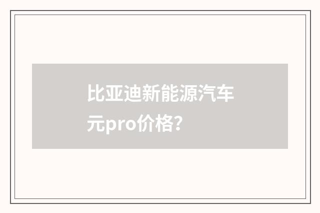 比亚迪新能源汽车元pro价格？