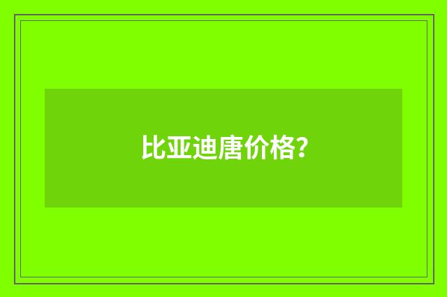 比亚迪唐价格？