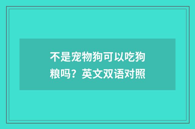 不是宠物狗可以吃狗粮吗？英文双语对照