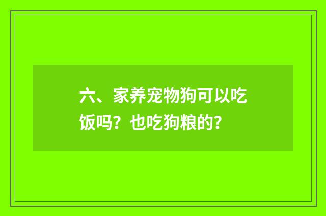 六、家养宠物狗可以吃饭吗?也吃狗粮的?