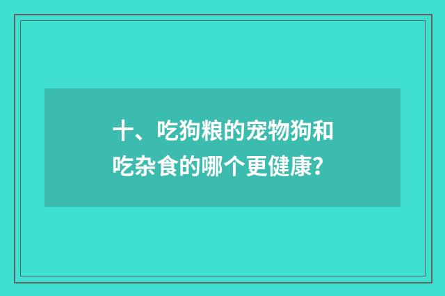 十、吃狗粮的宠物狗和吃杂食的哪个更健康？